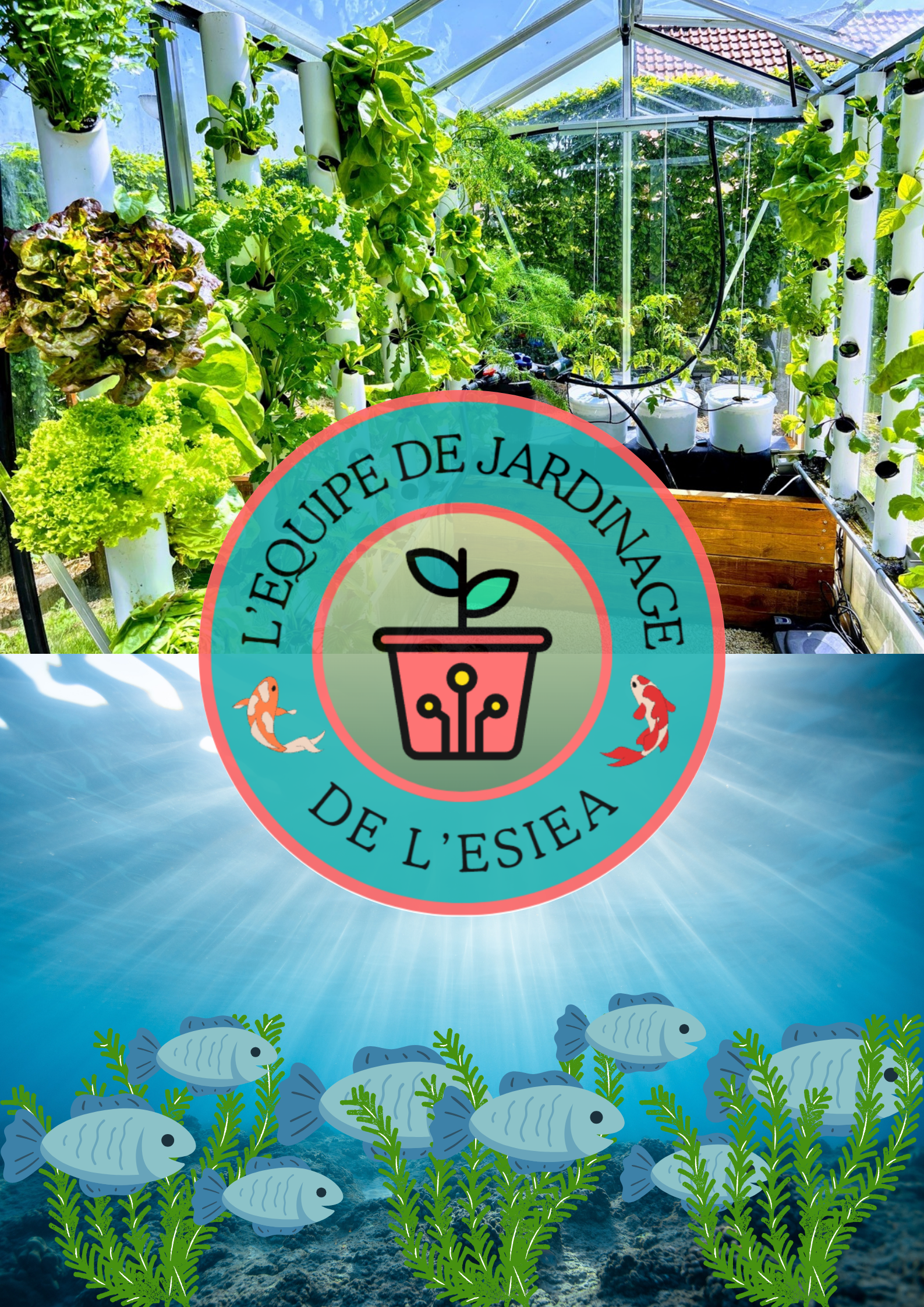 affiche aquaponique